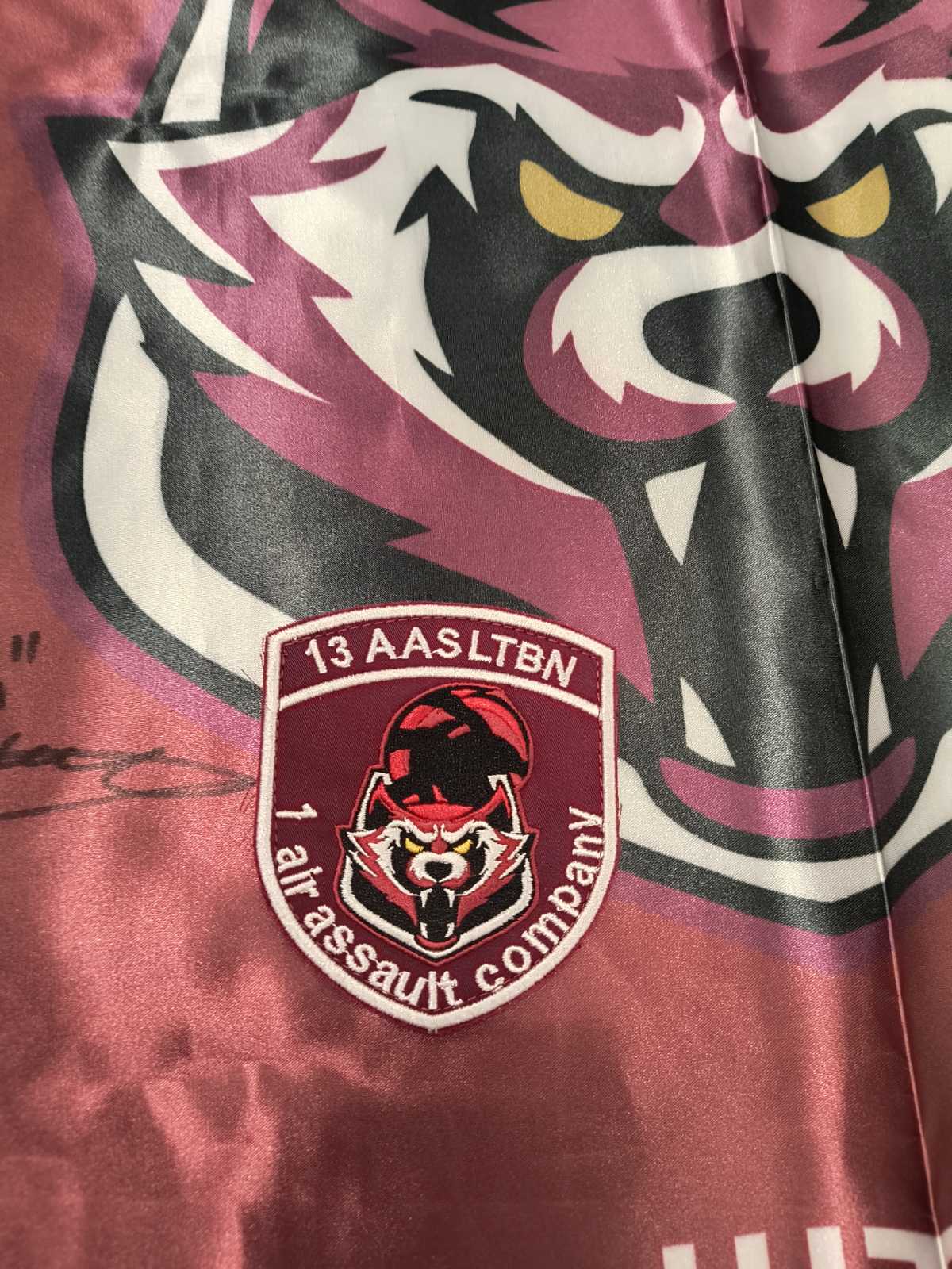 Ukrainian ensign with patch signed by fighters of 1st Airborne Assault Company (Combat raccoons) - Image 2