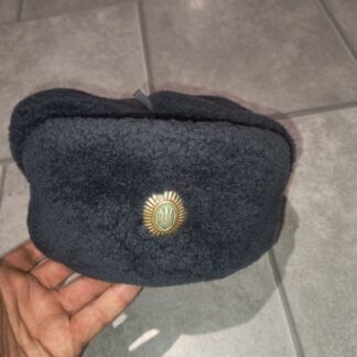 Ukrainian winter military cap with cocarde. Size 57-58